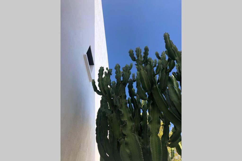 Casa Granado En Cabo De Gata Villa Rodalquilar Ngoại thất bức ảnh